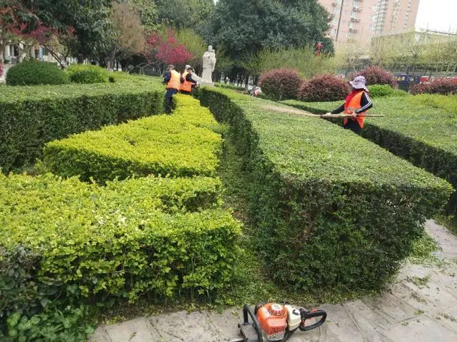 大港市绿化造园建设集团有限公司