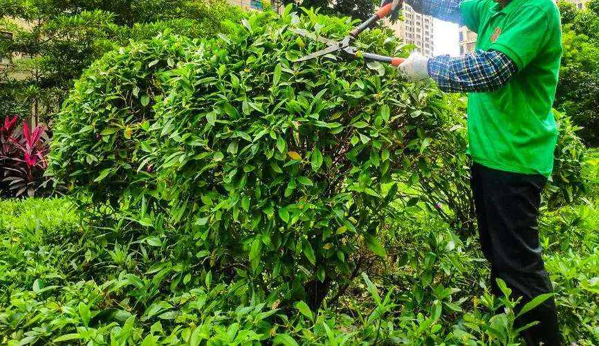 辽中区绿化亮化工程制作