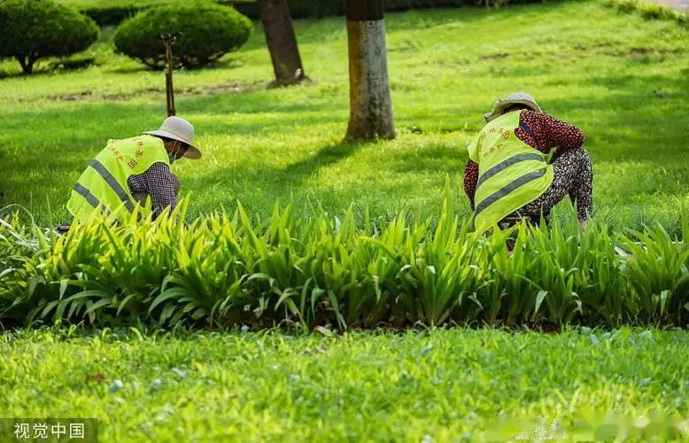 绿化工程队合同范本